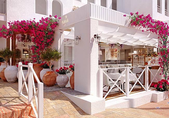 Gaia pays homage to Greek-Mediterranean cuisine.