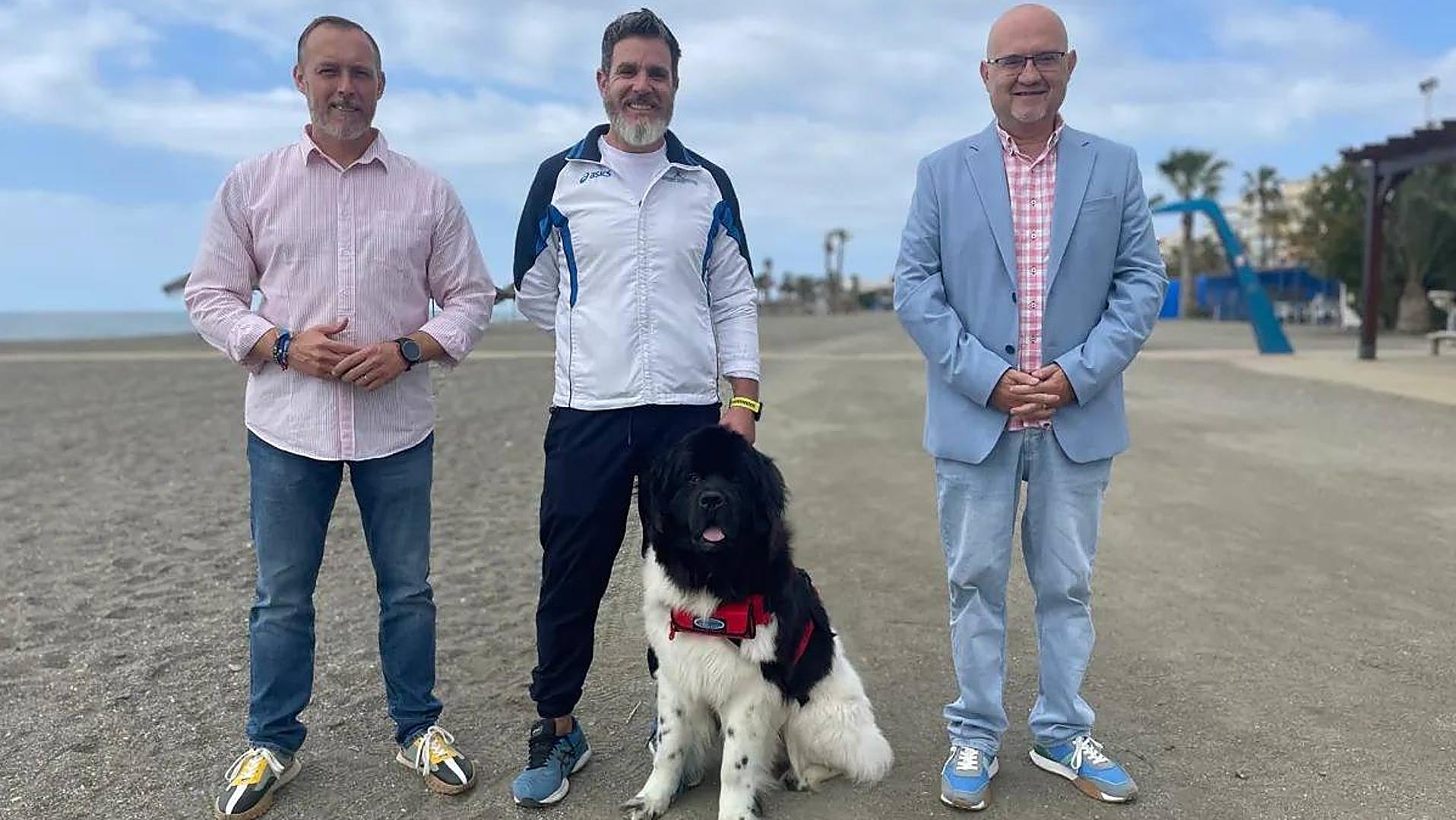 Dogs to start lifeguard training on Costa del Sol beach - Vimarsana News
