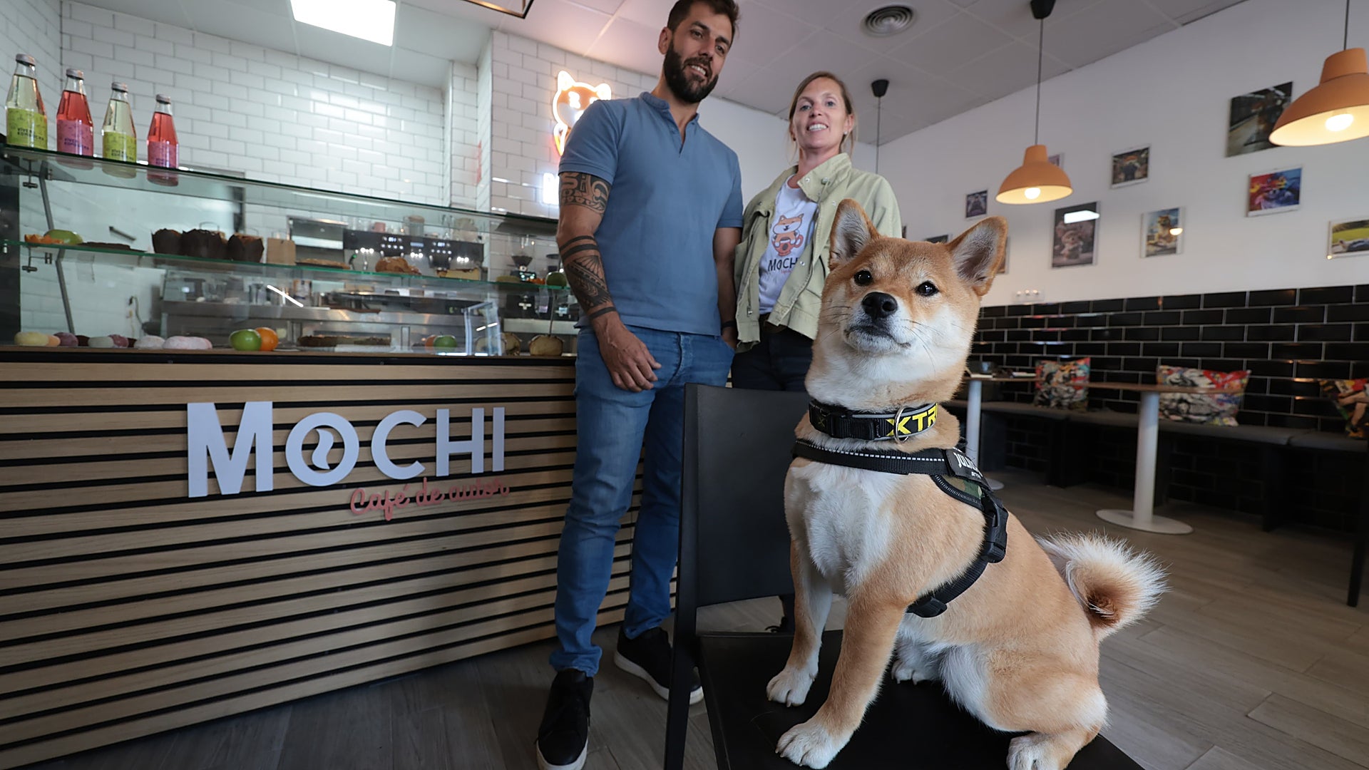 Mochi Café, the first coffee shop opened by a dog in Malaga - Vimarsana News