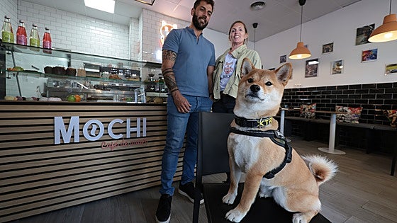 Mochi Café, the first coffee shop opened by a dog in Malaga