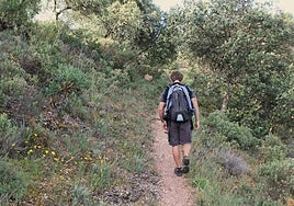 The itinerary runs mostly on a narrow path.