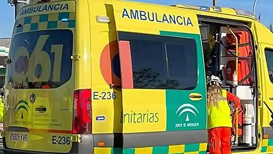 Woman injured after falling tree branch strikes her on the head in Malaga city