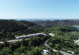 Aerial view of the Almazara Forest project.