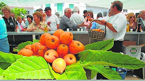 This is the village in Malaga province where, this weekend, you can try the Asian fruit it is now famous for