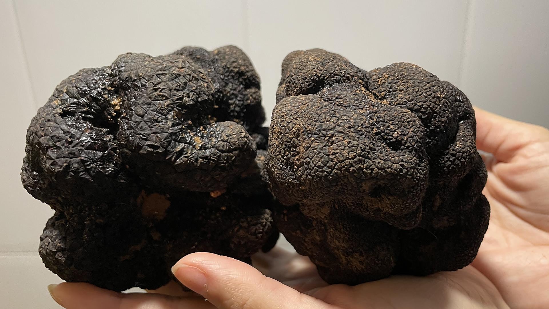 The black diamond of the kitchen that's found in Almeria - Vimarsana News