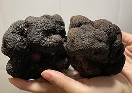 The black diamond of the kitchen that's found in Almeria