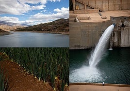 Granada prepares for drought crisis with 280m-euro investment