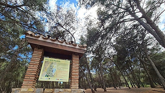 Torremolinos on look out for companies to improve Los Pinares recreational area