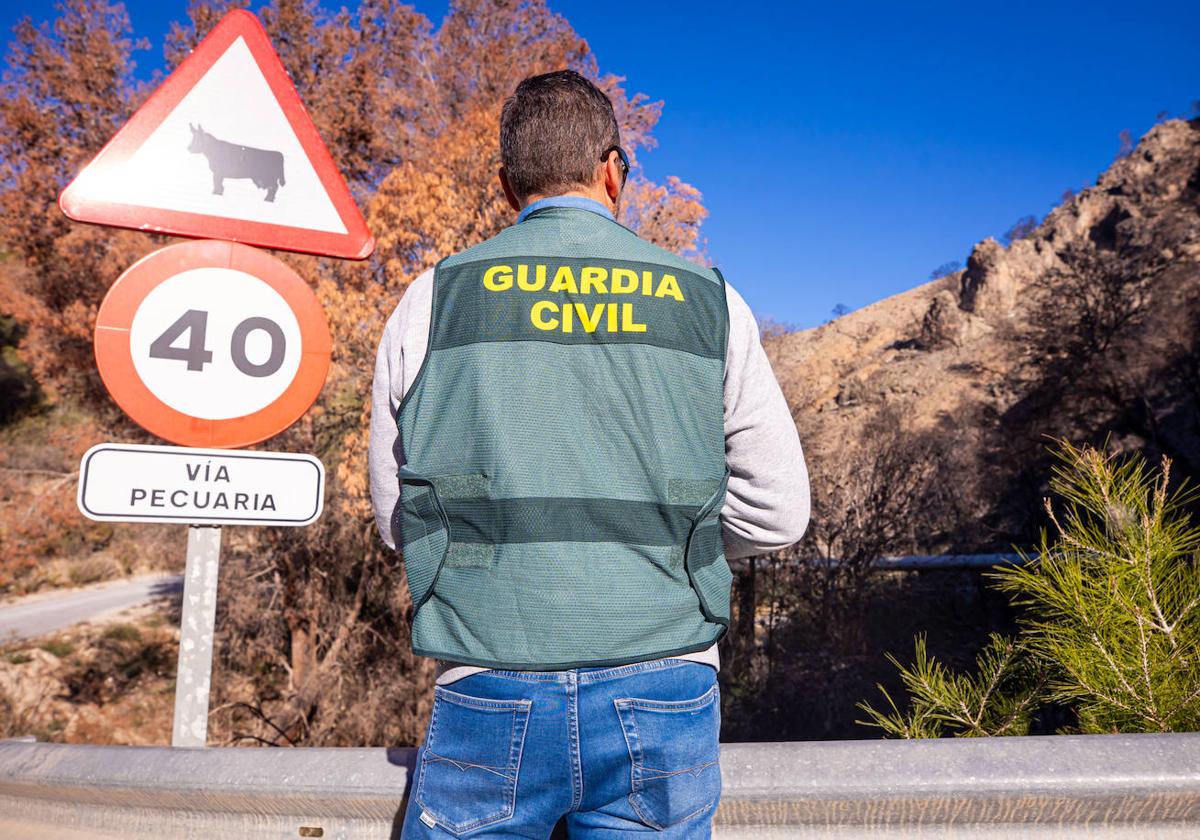 Woman injured in dog attack in Granada town