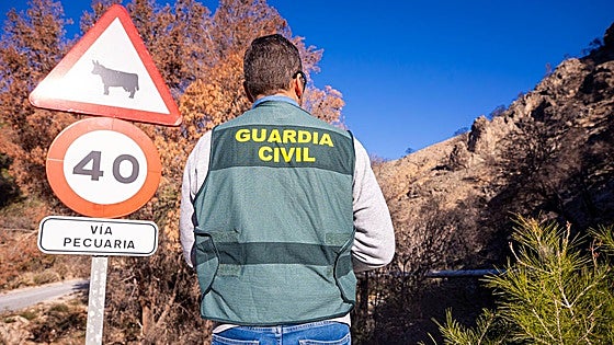 Woman injured in dog attack in Granada town