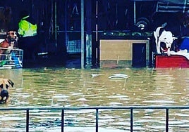 The dog shelter under water during heavy rain earlier this year.