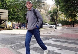 Known criminal sent to prison in connection with murder in Montes de Málaga two years ago