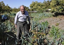 The 95-year-old from Spain's Alpujarras who still works the land with his hands: 'My farm gives me life'