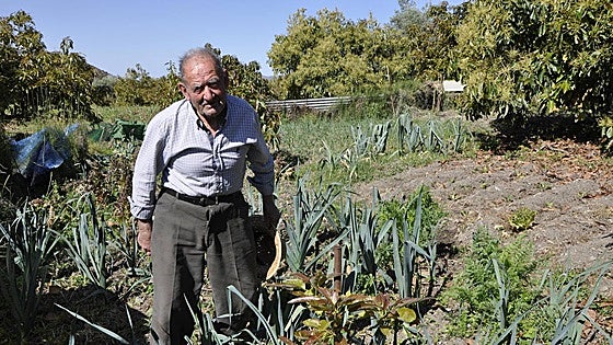 The 95-year-old from Spain's Alpujarras who still works the land with his hands: 'My farm gives me life'