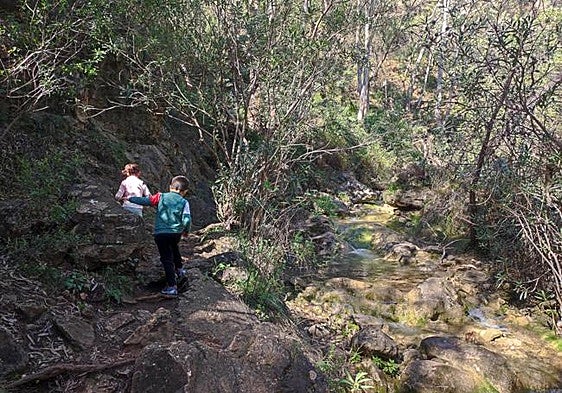 Seven shaded hiking routes you can comfortably do even when the heat is on in Malaga province
