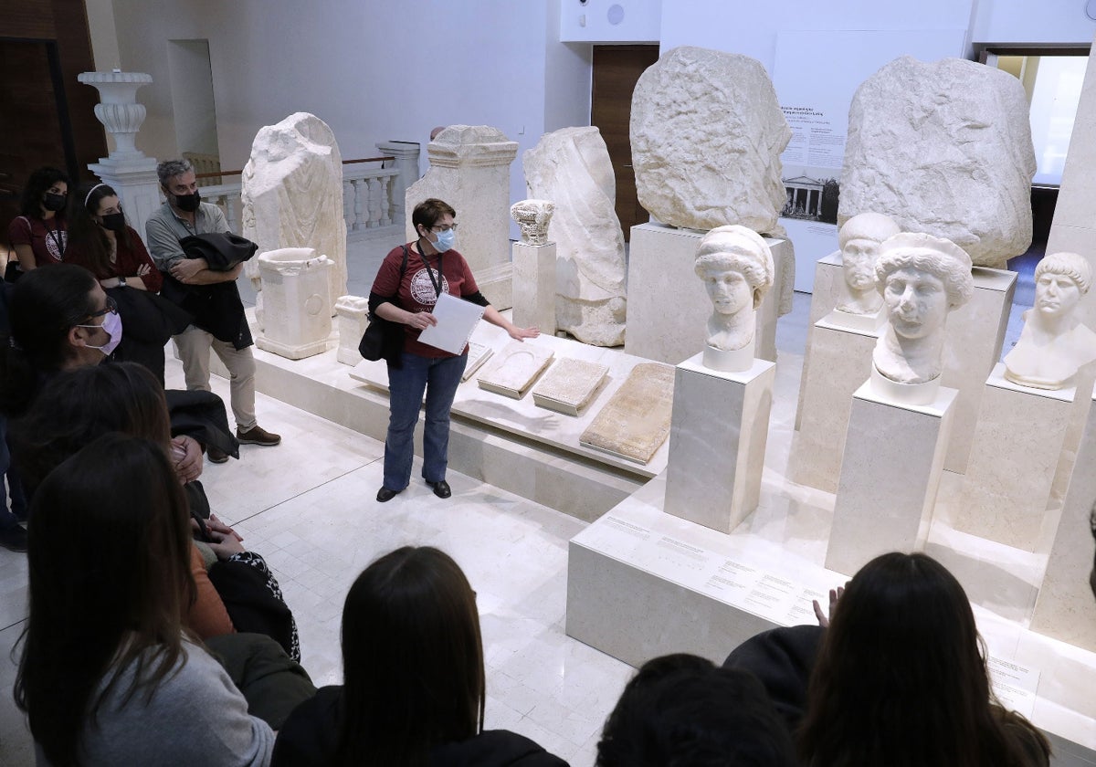Guided tour of the Museum of Malaga.