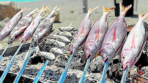 Skewers aren't just for sardines: Chiringuitos on the Costa del Sol that also grill other types of fish