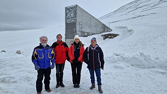 Why have tomato seeds from the sunny Costa del Sol been sent to a frozen Norwegian archipelago?