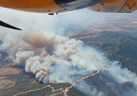 Fifteen aircraft deployed to tackle major forest fire declared in Tarifa as flames are fanned by strong gusts of wind