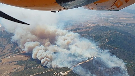 Fifteen aircraft deployed to tackle major forest fire declared in Tarifa as flames are fanned by strong gusts of wind