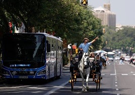 Tourism is one of the driving forces behind Malaga's economy, which explains why it stands out in Andalucía.