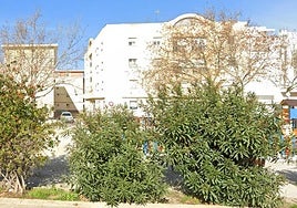 Two-year-old boy dies after falling from third-floor bedroom window in south of Spain