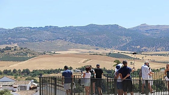 Woman arrested for stealing 5,000 dollars in cash from American tourists visiting Ronda