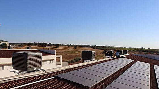 Schools in Andalucía will be allowed to finish classes at noon in event of periods of extreme heat this summer