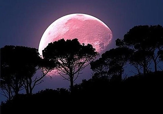 June is full of astronomical phenomena, such as the so-called strawberry moon.