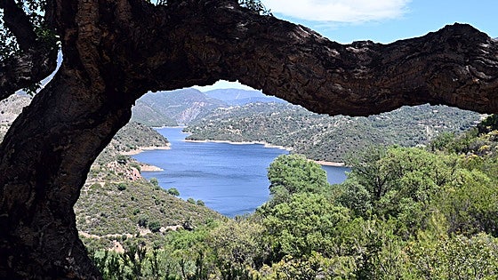 This is the current state of all the reservoirs in Malaga province as summer approaches