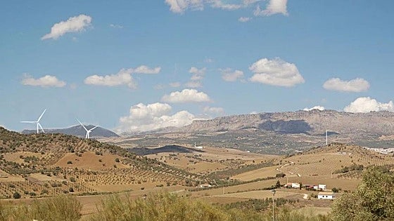 Inland towns plan protest against wind farm projects in north of Malaga province