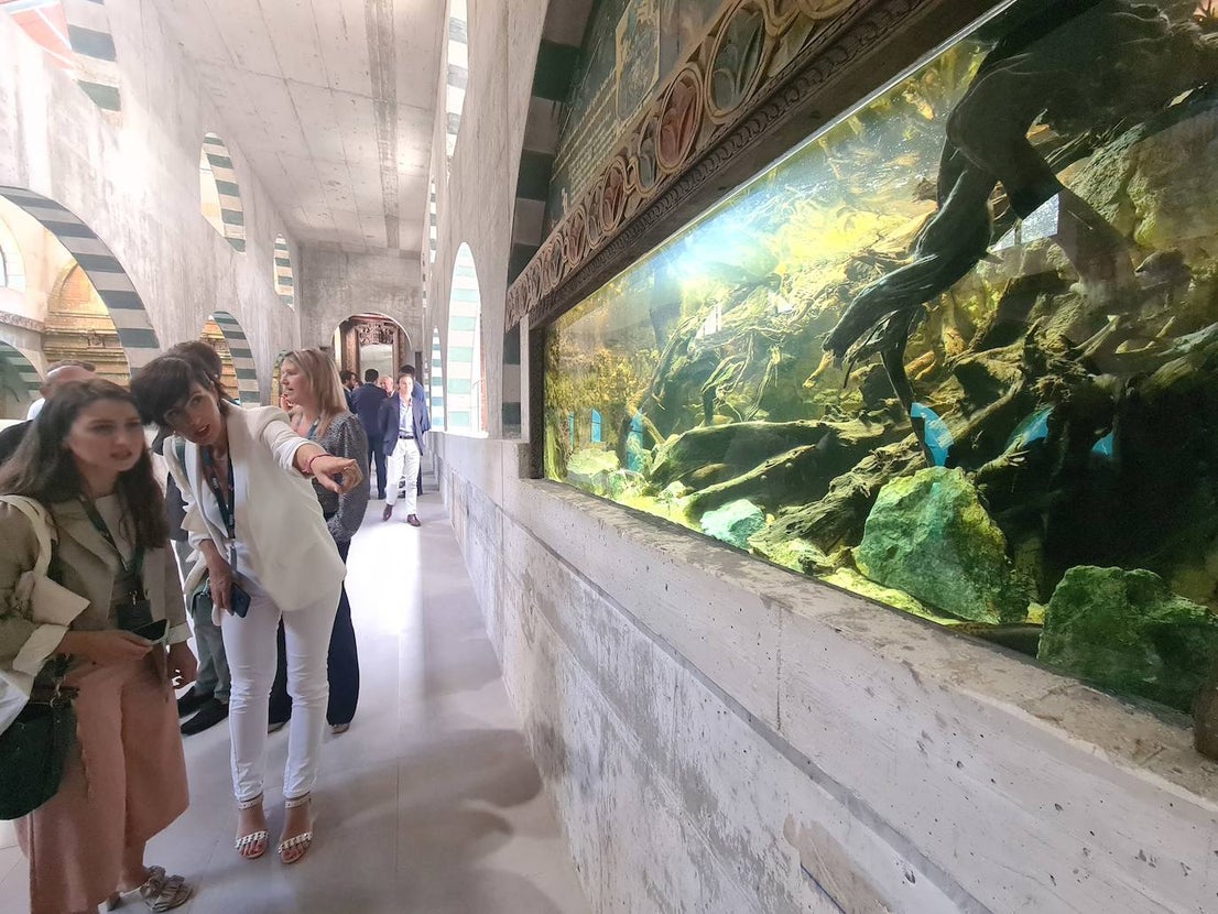 The Infinite Journey at Bioparc Fuengirola, in pictures