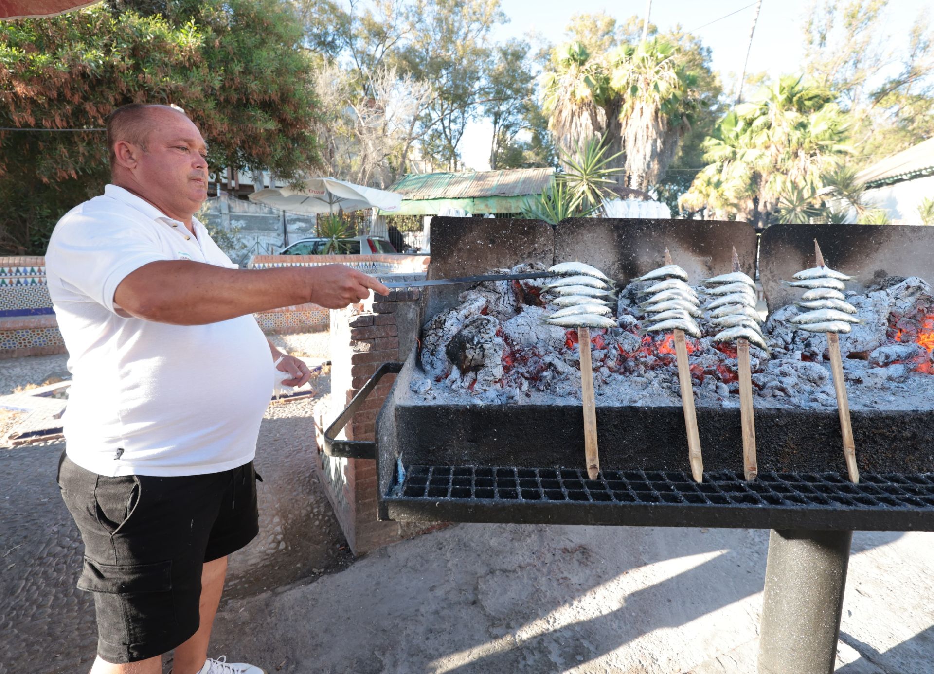 Finalists in the search for the best sardines on the Costa del Sol, in photographs