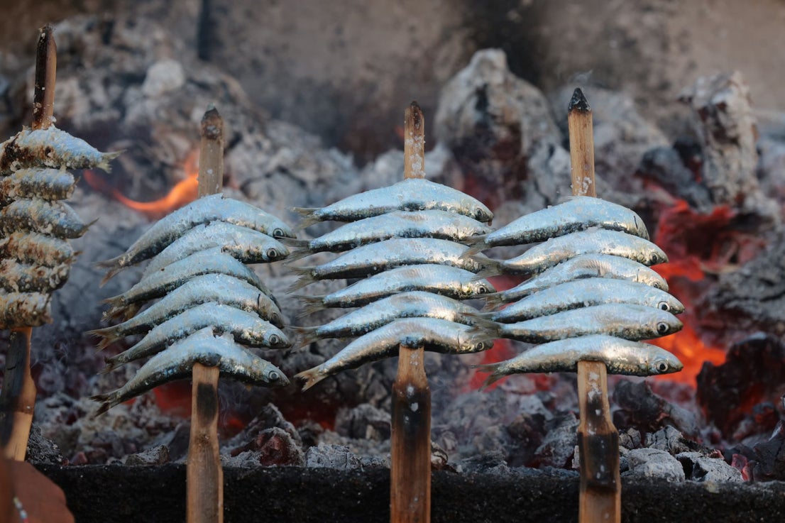 Finalists in the search for the best sardines on the Costa del Sol, in photographs