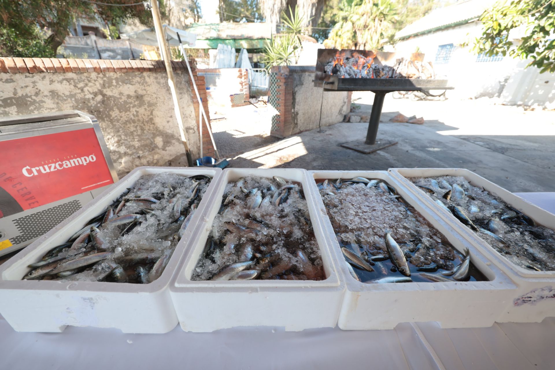 Finalists in the search for the best sardines on the Costa del Sol, in photographs
