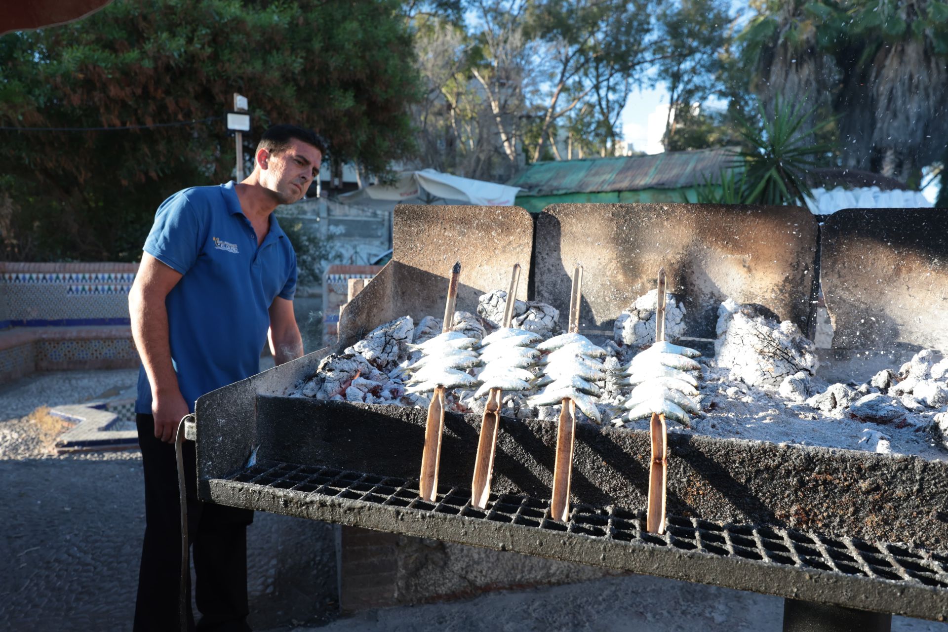 Finalists in the search for the best sardines on the Costa del Sol, in photographs