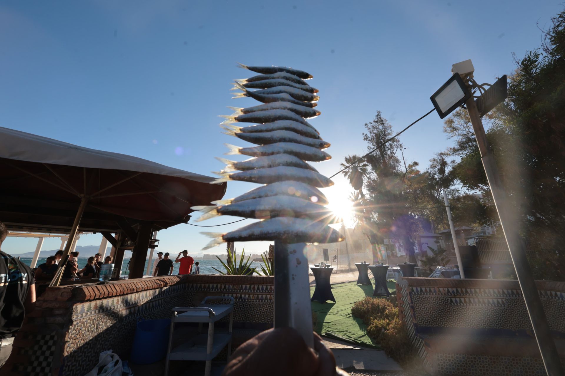 Finalists in the search for the best sardines on the Costa del Sol, in photographs