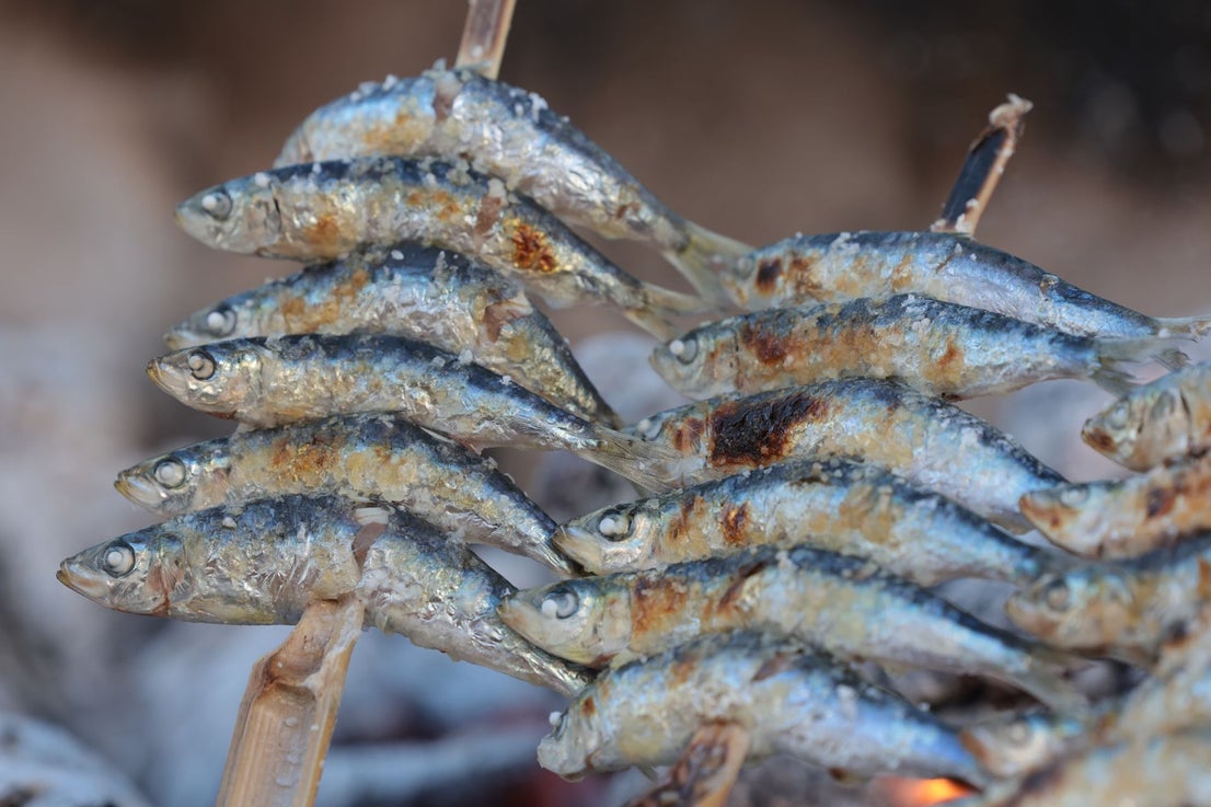 Finalists in the search for the best sardines on the Costa del Sol, in photographs