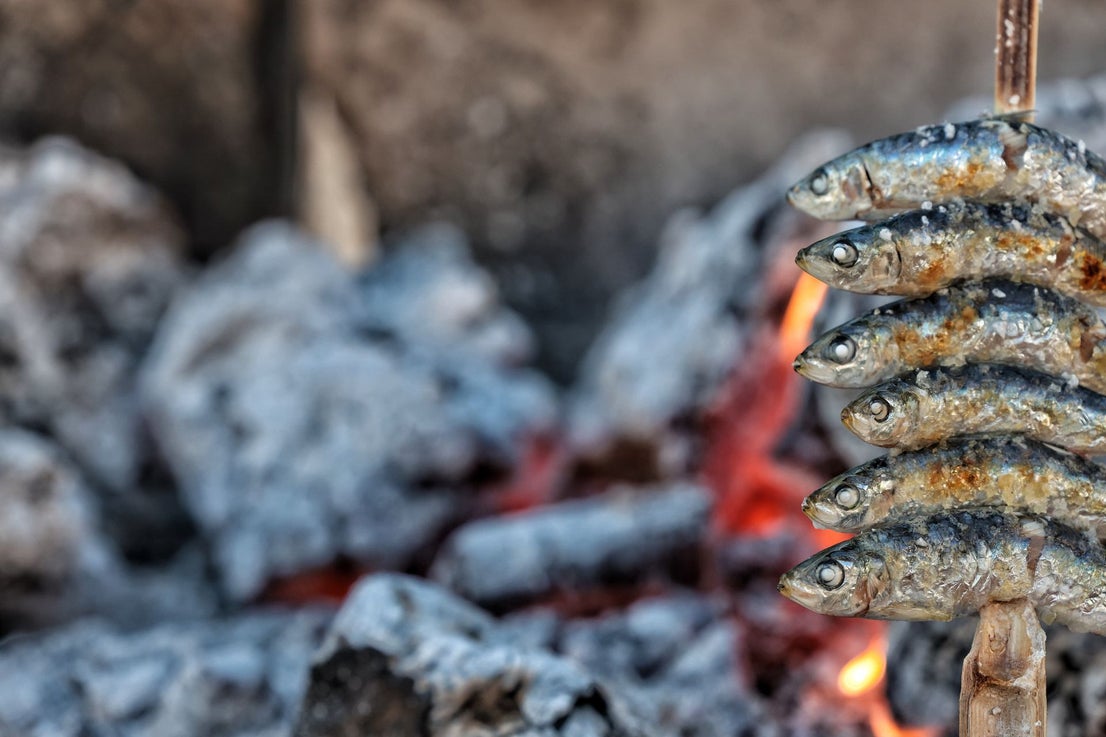 Finalists in the search for the best sardines on the Costa del Sol, in photographs