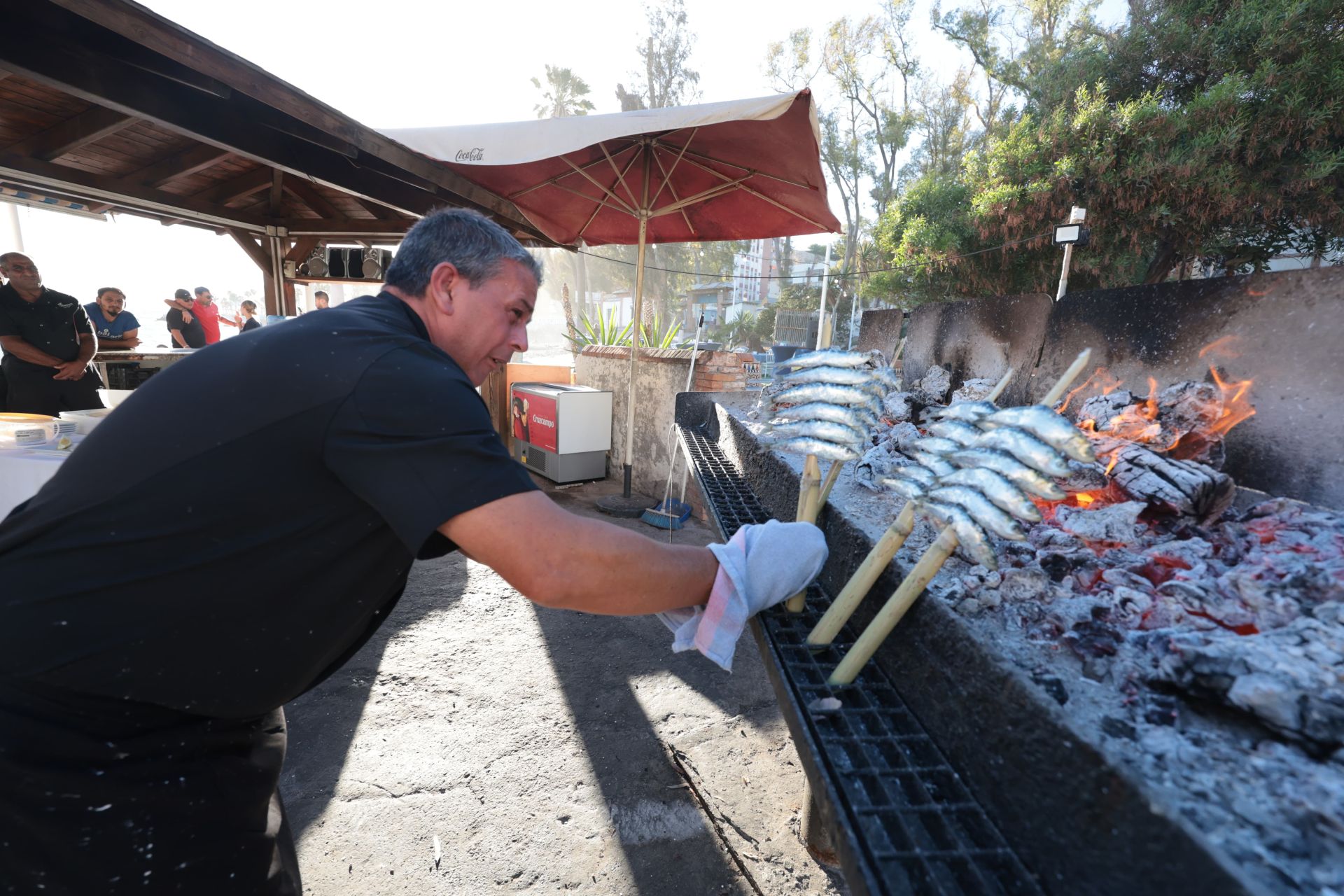 Finalists in the search for the best sardines on the Costa del Sol, in photographs
