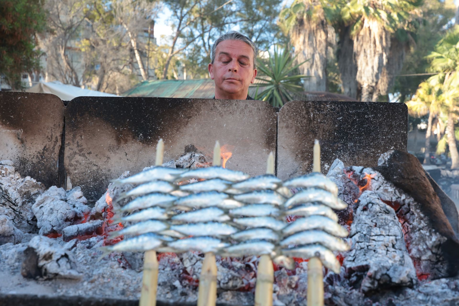 Finalists in the search for the best sardines on the Costa del Sol, in photographs