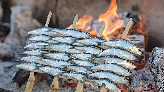Finalists in the search for the best sardines on the Costa del Sol, in photographs