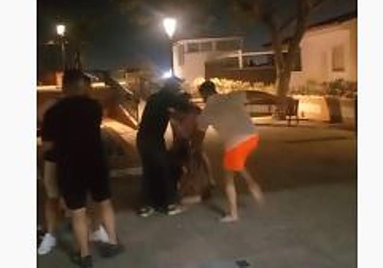 Bar owner seriously injured after being kicked in the head during brawl in Churriana