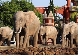 The popular elephants on the roundabout in Benalmádena Costa.