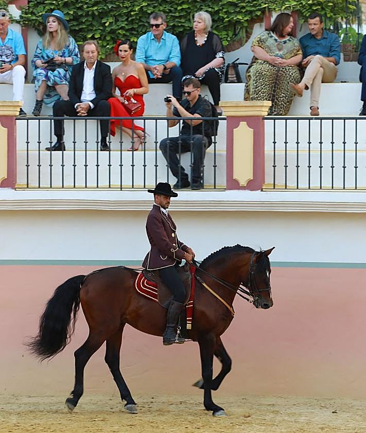 Imagen secundaria 2 - Glittering Collective Calling gala on the Costa raises 14,000 euros for charity