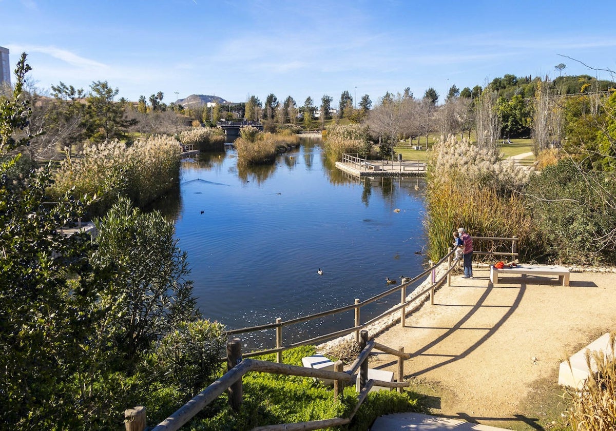 La Marjal flood park in Alicante, a pioneering water infrastructure that protects the city from torrential rains.