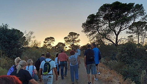 Things to do when the sun goes down across Malaga province this summer