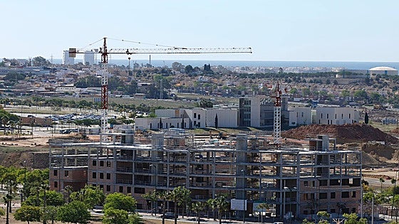 Malaga needs to build 3,425 affordable rental homes across the province every year for next 20 years, according to study