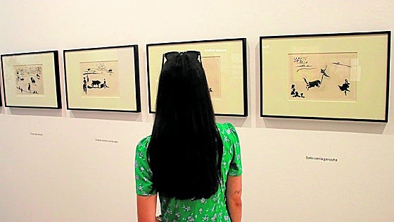 The bullfight through Picasso's eyes