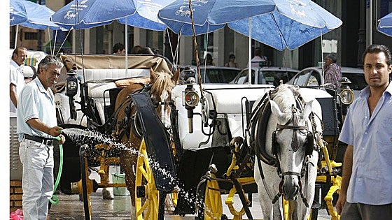 Malaga sets date for withdrawal of horse-drawn carriage rides for tourists